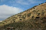 IMG_5343  Homhill, Socotra